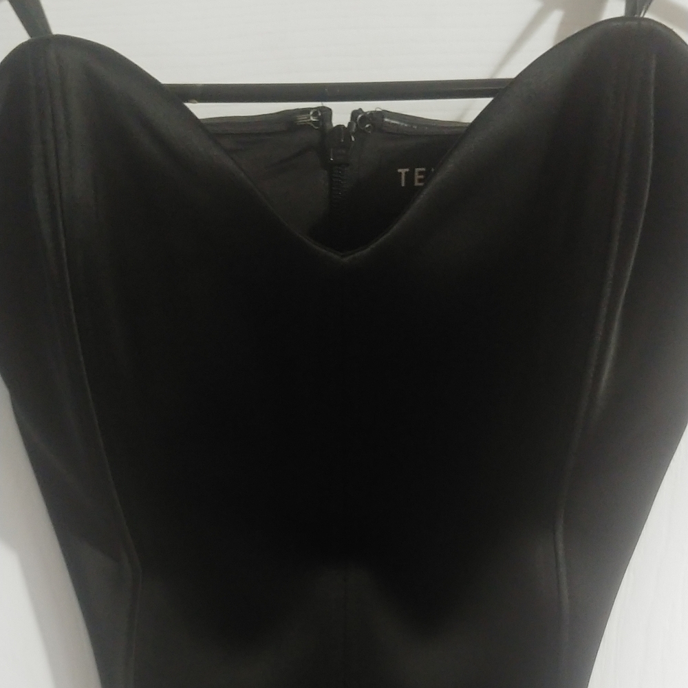 Aritzia Ten By Babaton Blaze Bodysuit
